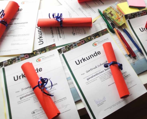Sehtrainer / In: Qualifizierungsseminar und Zertifizierung für Augentraining und ganzheitliches Sehtraining